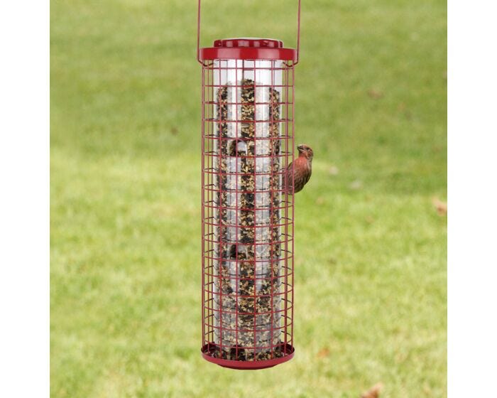 Perky-Pet® Easy Feeder, Lifestyle 1