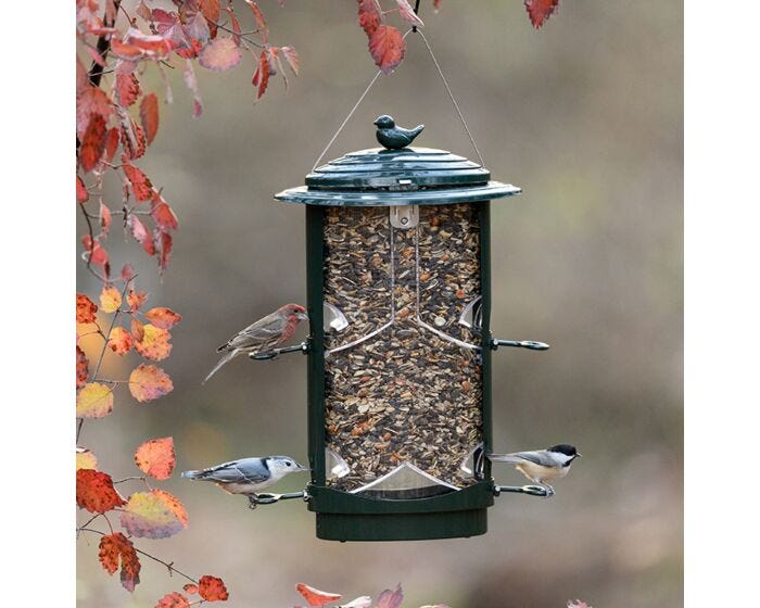 Squirrel-X LX1 Squirrel-Resistant Bird Feeder with Spring-Loaded Perches - 4.2 lb, Lifestyle