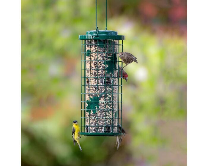 Perky-Pet® Squirrel Stumper® Bird Feeder, LIfestyle 1