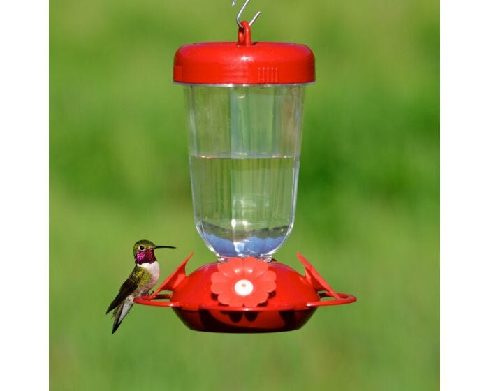 Perky-Pet® Perkys Finest 16 oz Plastic Top Fill Hummingbird Feeder