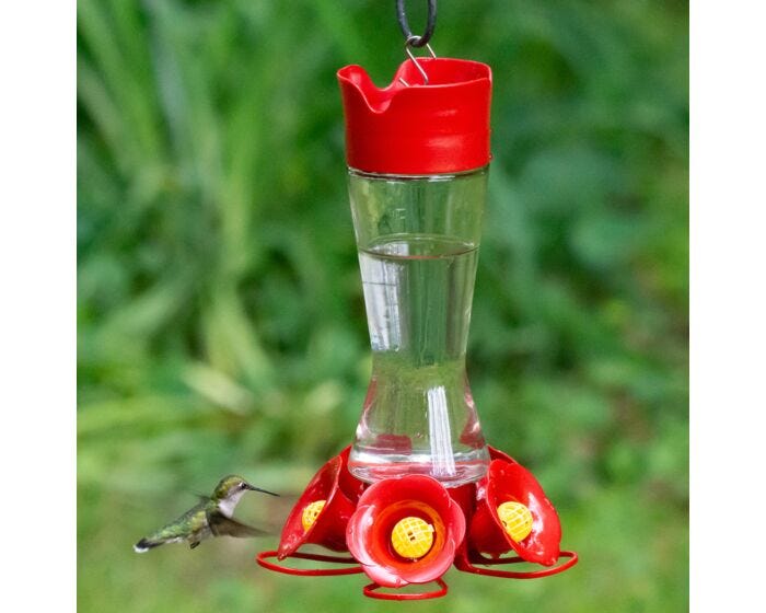 Perky-Pet® Favored Pinch-Waist Glass Hummingbird Feeder, Lifestyle