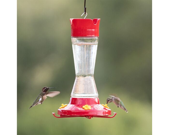 Perky-Pet® Pinch Waist Glass Hummingbird Feeder, Lifestyle