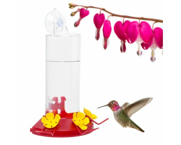 Perky-Pet® Window-Mount Hummingbird Feeder
