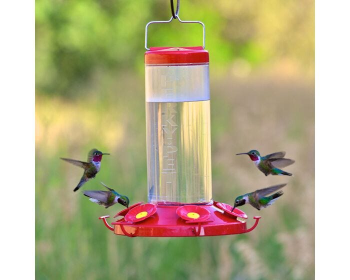 Perky-Pet® Grand Master Plastic Hummingbird Feeder, Lifestyle