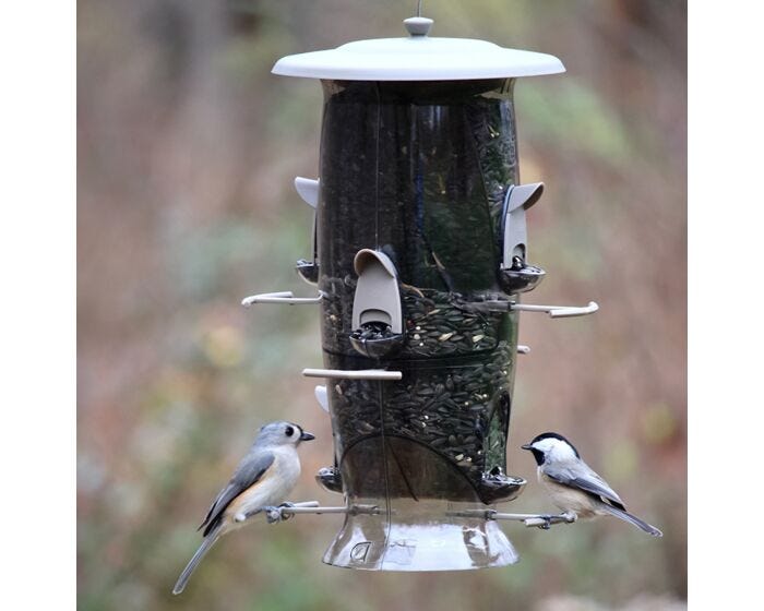 More Birds® Abundance Combination Sunflower/Thistle Bird Feeder - 3.5 lb, LIfestyle