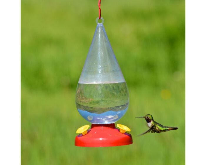 Perky-Pet® Dew Drop Plastic Hummingbird Feeder, lifestyle 1