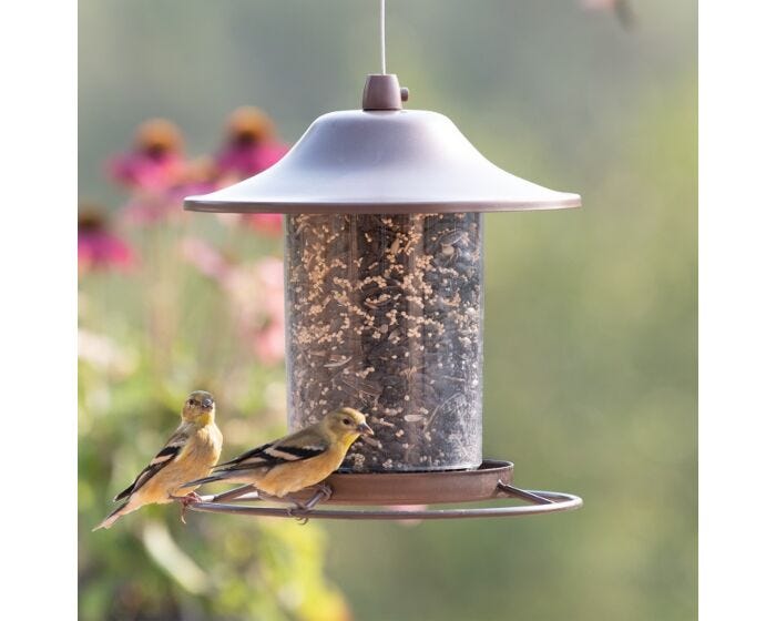 Perky-Pet® Panorama Bird Feeder, Lifestyle
