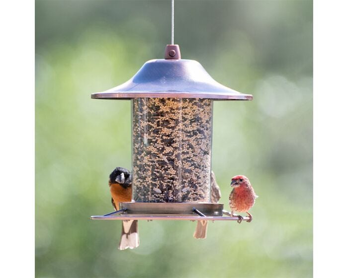 Perky-Pet® Copper Panorama Wild Bird Feeder, Lifestyle 3