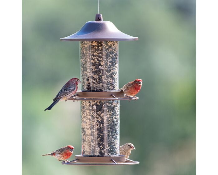 Perky-Pet® Panorama Wild Bird Feeder, Lifestyle 1