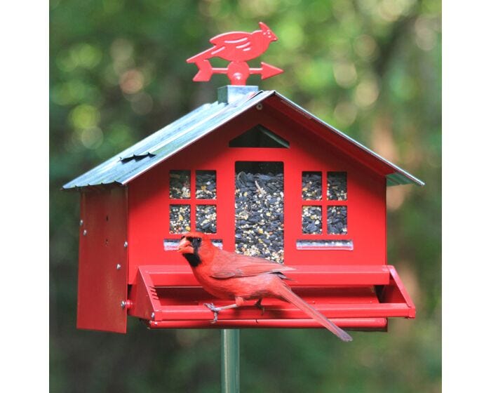 Perky-Pet® Squirrel-Be-Gone® II Country Style Wild Bird Feeder