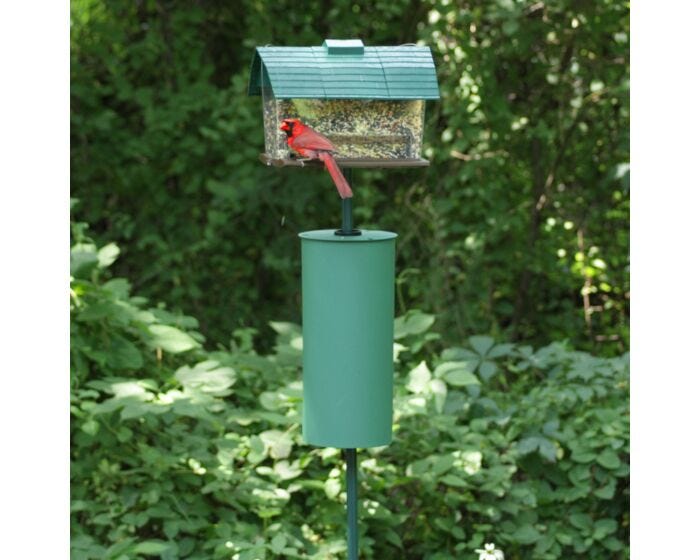 Perky-Pet® Metal Pole Squirrel Baffler, Lifestyle