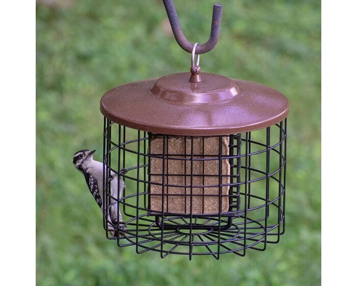 Squirrel-X Double Suet Caged Squirrel-Resistant Bird Feeder, lifestyle