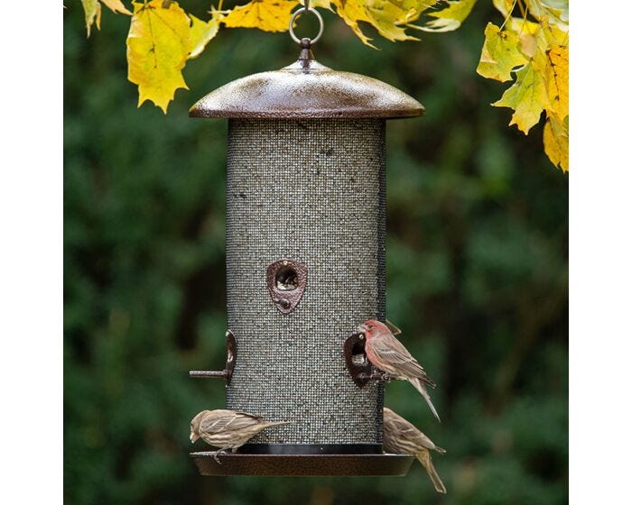 More Birds® Giant Combo Dual Compartment Sunflower/Thistle Screen Bird Feeder - 11 lb, lifestyle