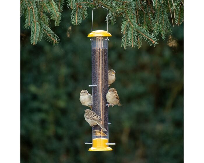 More Birds® Topsy Tails Tube Finch Feeder - 1.5 lb, Lifestyle
