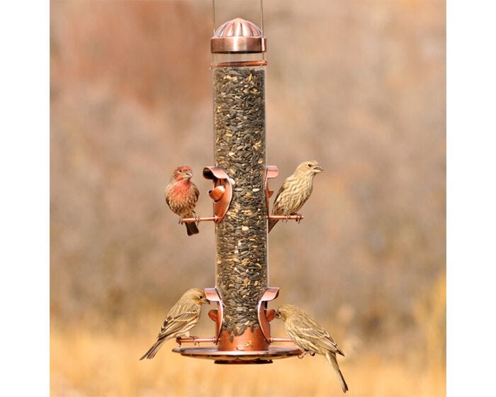 Perky-Pet® Copper 2-in-1 Wild Bird Feeder, lifestyle