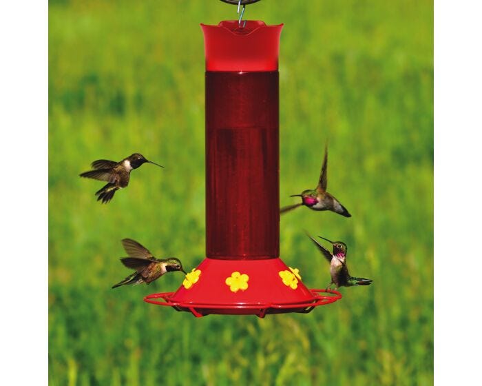 Perky-Pet® Hummer's Favorite Hummingbird Feeder