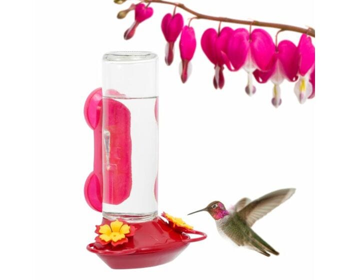 Perky-Pet® Window-Mounted Glass Hummingbird Feeder