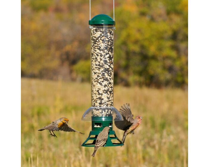 Perky-Pet® Squirrel Slammer Wild Bird Feeder