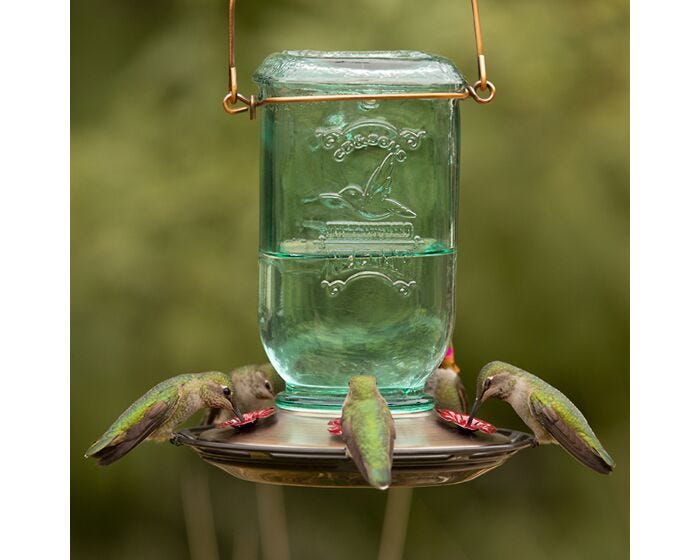 More Birds® Mason Jar Glass Hummingbird Feeder - 25 oz, Lifestyle