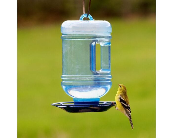 Perky-Pet® Water Cooler Bird Waterer, Lifestyle 2