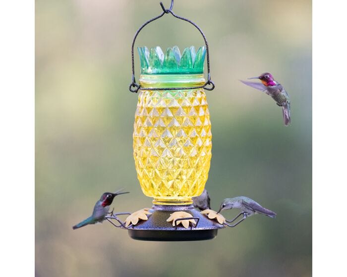 Perky-Pet® Pineapple Top-Fill Hummingbird Feeder - 28 oz, lifestyle