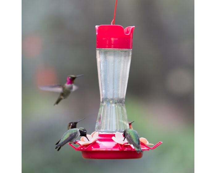 Perky-Pet® Top-Fill Pinch-Waist Glass Hummingbird Feeder, Lifestyle