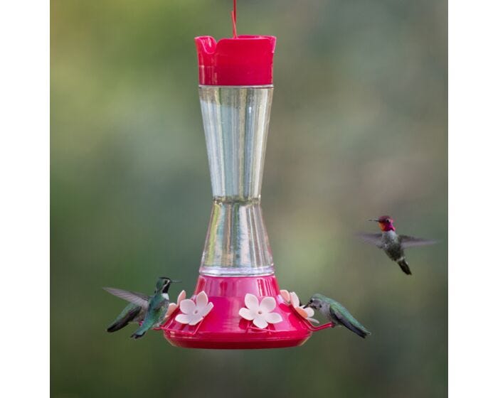 Perky-Pet® Top-Fill Favored Pinch-Waist Glass Hummingbird Feeder - 20 oz, Lifestyle