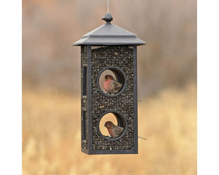 Perky-Pet® Fly-Thru Wild Bird Feeder, lifestyle