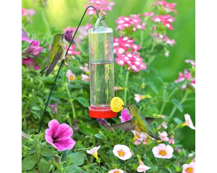 Perky-Pet® Planter Box Hummingbird Feeder, Lifestyle