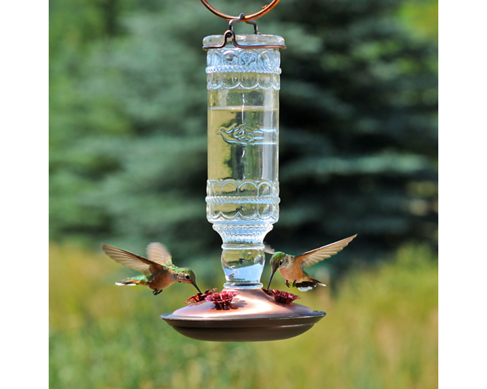 perky-pet-clear-antique-glass-bottle-hummingbird-feeder-10-oz, LIfestyle