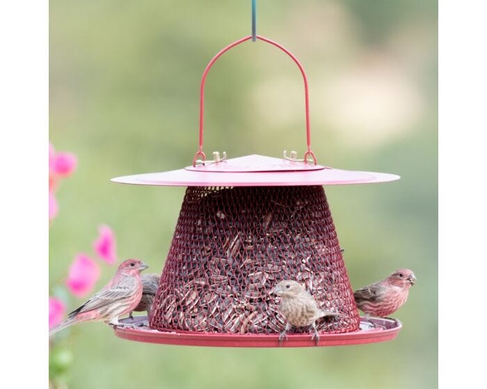 Perky-Pet® Red Cardinal Wild Bird Feeder, Lifestyle
