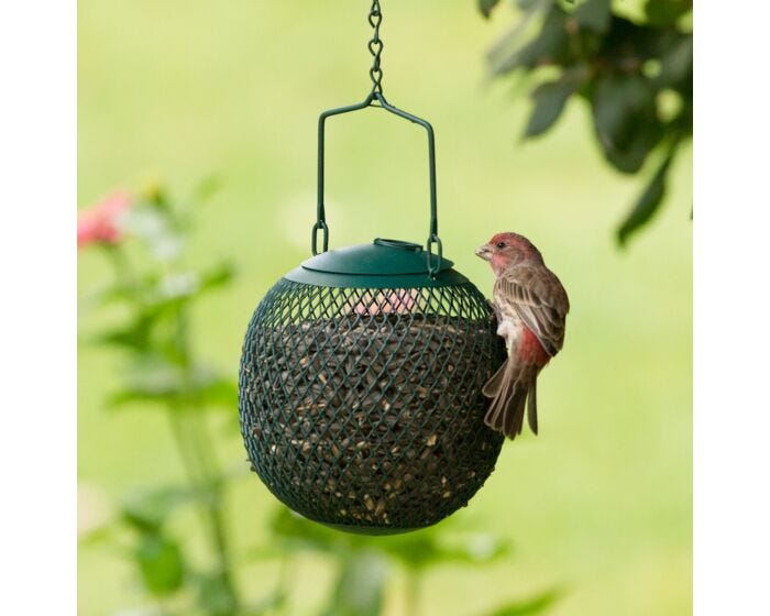 Perky-Pet® Green Seed Ball Wild Bird Feeder - Lifestyle