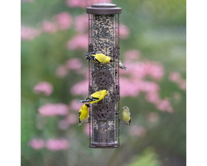 Perky-Pet® Squirrel-Be-Gone Max Pinecone Bird Feeder with Flexports®, Lifestyle 1