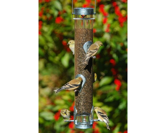 Droll Yankees® Ring Pull Tube Finch Feeder - 1 lb, LIfestyle