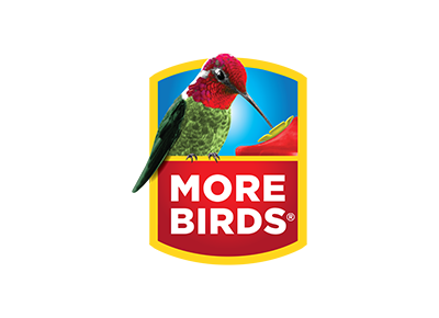 More Birds