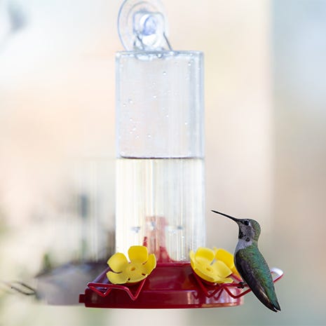 Brush Plastic Hummingbird Feeders Handheld Window Bird Feeders Multifunctional