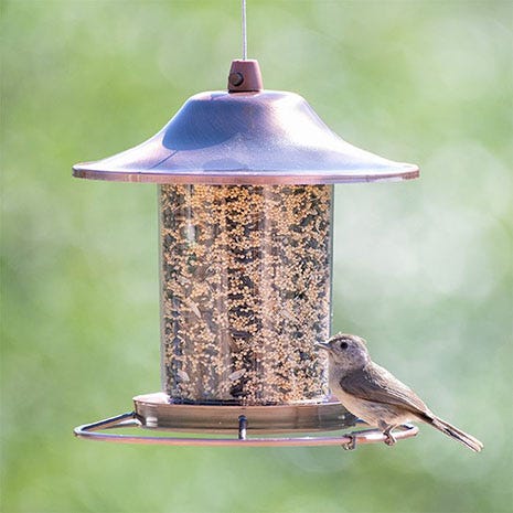 Perky Pet Copper Panorama Bird Feeder Circular Food Dispenser Transparent 