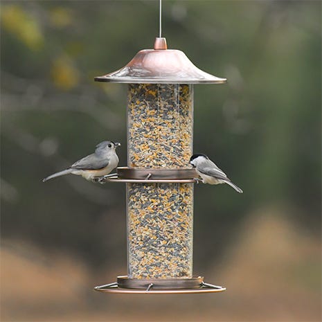 2 Tier Attracts Multiple Birds