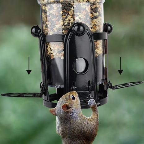 Squirrel proof seed shield