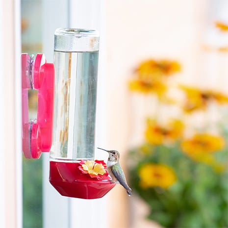 Window Hummingbird Feeder Perch - Clear Window Bird Feeder - Starcrest