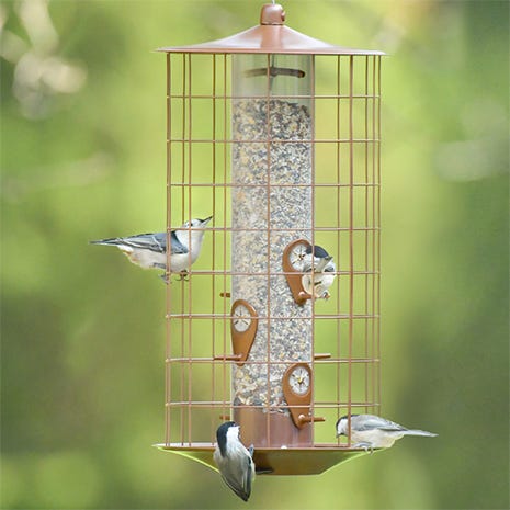 six feeding stations