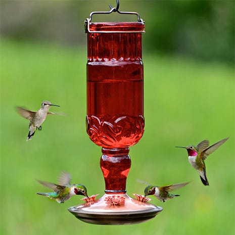 Perky-Pet Red Antique Glass Bottle Hummingbird Feeder