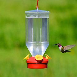 Perky-Pet Lantern Hummingbird Feeder