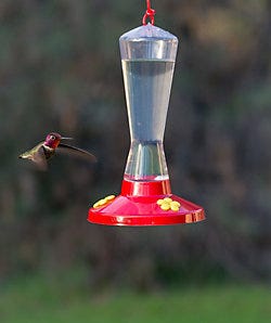 Perky-Pet<sup>®</sup> Clear Plastic Hummingbird Feeder