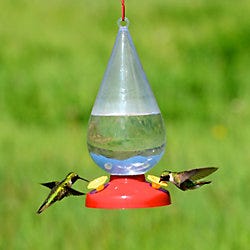 Perky-Pet<sup>®</sup> Dew Drop Hummingbird Feeder