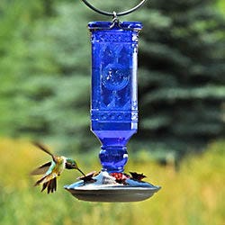 Perky-Pet® Cobalt Blue Antique Bottle Glass Hummingbird Feeder