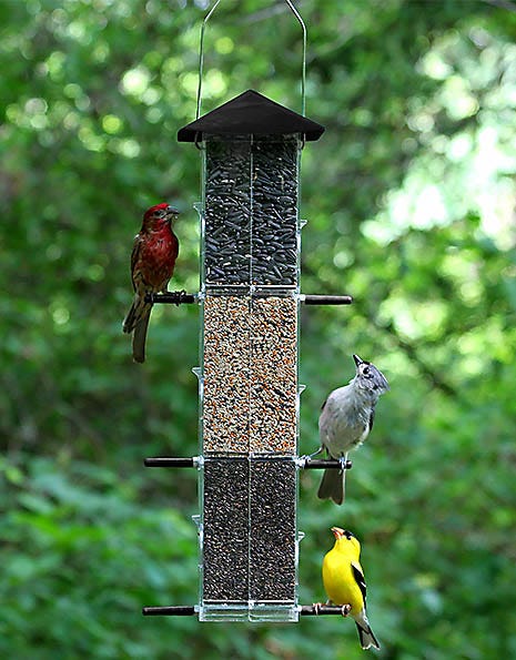 PERKY-PET Panorama, mangeoire pour oiseaux d'extérieur – MEUNERIE