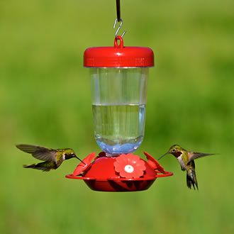 Birds feeding at 135TF