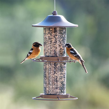 Suncatcher Bird Feeder 8501