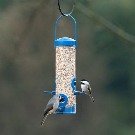 Four Feeding Stations